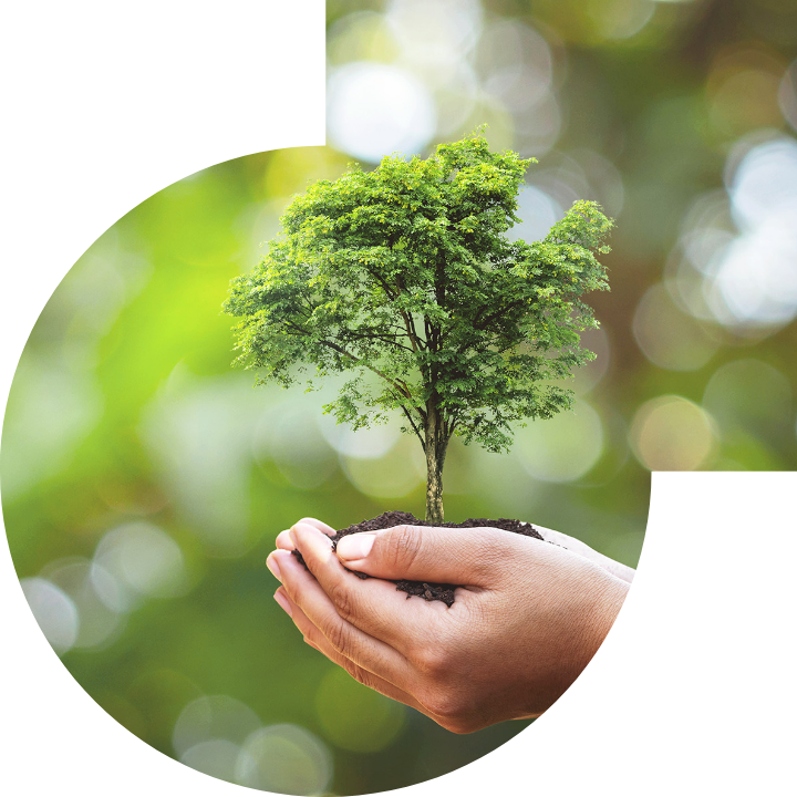 关怀人类、文化、环境与社会